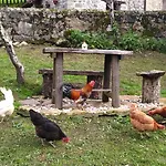 El Cotu En Semesterbostad *