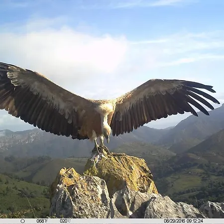 El Cotu En Σπίτι διακοπών *