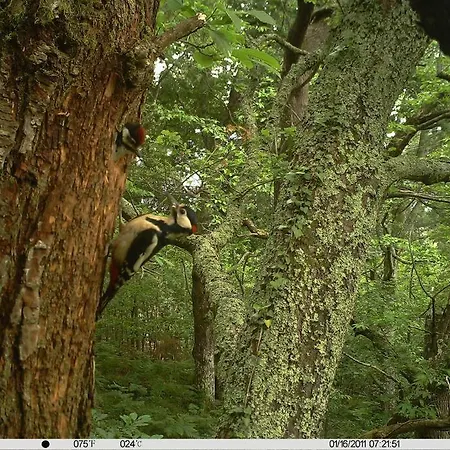 El Cotu En Σπίτι διακοπών *