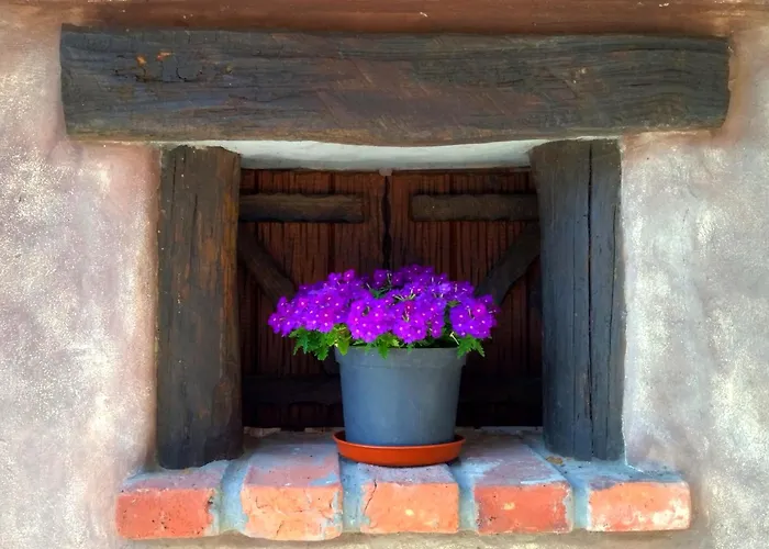 El Cotu En Cangas De * Onís